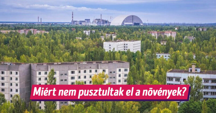 Segítünk megválaszolni 6 izgalmas “Miért?” kérdést, ami legalább egyszer biztos, hogy a te fejedben is megfordult